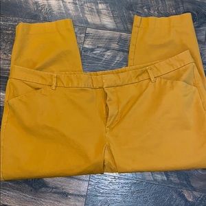 Old Navy pixie pants